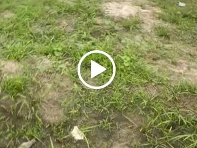 100 by 100 Land for Sale at Nijacat. #0022