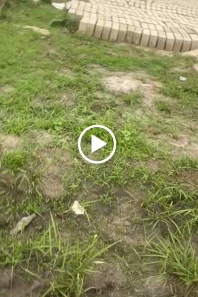 100 by 100 Land for Sale at Nijacat. #0022