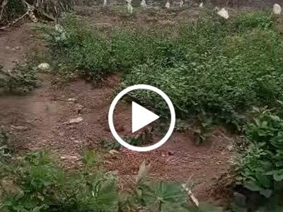 100 by 100ft land for Sale at Oputu layout Dsc. #0033