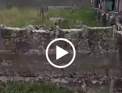 100 by 100 land 4 Sale at Cenima side. #0026