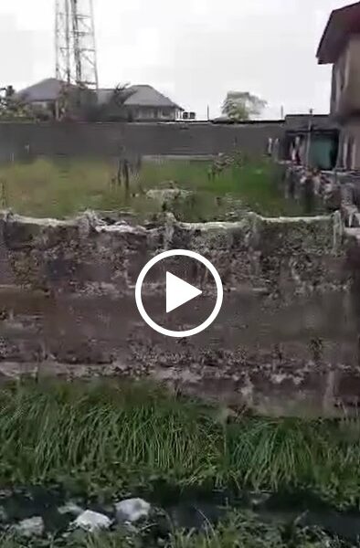 100 by 100 land 4 Sale at Cenima side. #0026