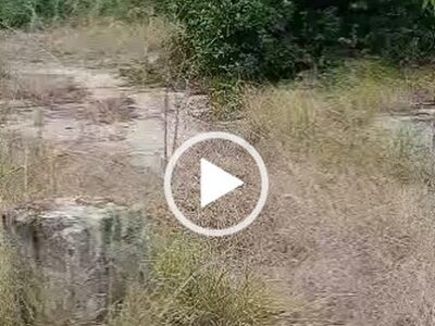 103. One Acre of Land for Sale at Ugbokodo. #0103