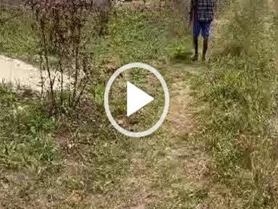 3 and half plots of Land for Sale at Oha. #0018