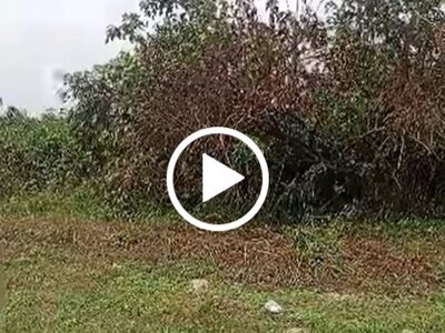 4 Acres of dry land for Sale at Agbarho. #0029