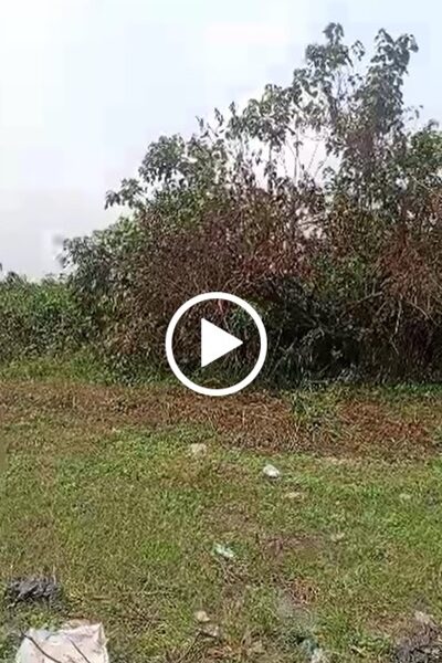 4 Acres of dry land for Sale at Agbarho. #0029