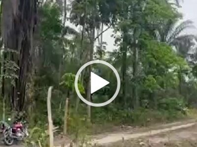 200 Acres of Land for sale at Oha. #0059