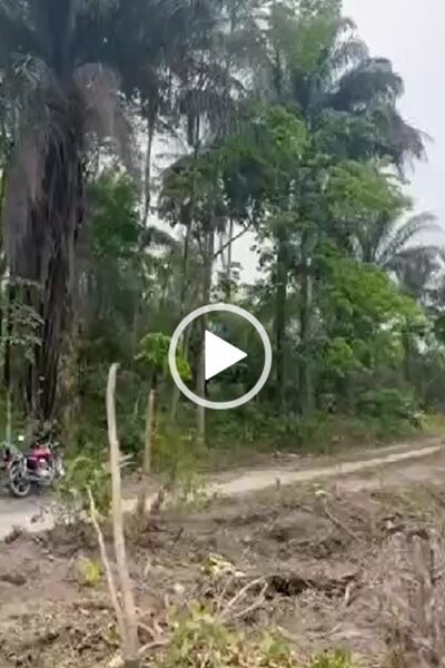 200 Acres of Land for sale at Oha. #0059