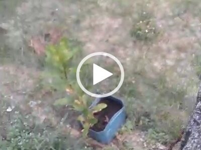 100ft by 100ft Land for Sale at Airport Road. #0080