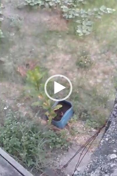 100ft by 100ft Land for Sale at Airport Road. #0080