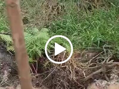 10 Acre land for Sale behind Odibo Estate. #0087