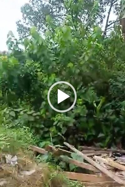 Land for Sale at Airport Road. #0114