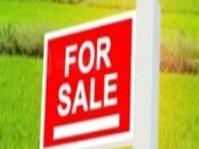 17 plots of land for Sale along NPA expressway. #0111