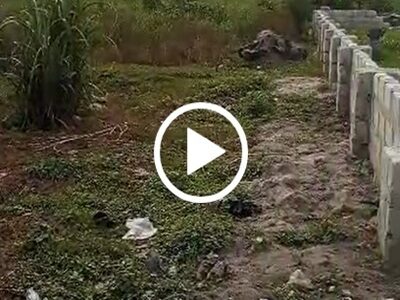 100 BY 50 Land for Sale at Okuokoko. #0118